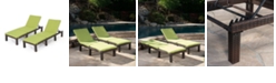 Noble House Jamaica Outdoor Chaise Lounge, Set of 2